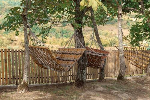 NikortsmindaRacha Twins的两个吊床挂在围栏旁边的两棵树上