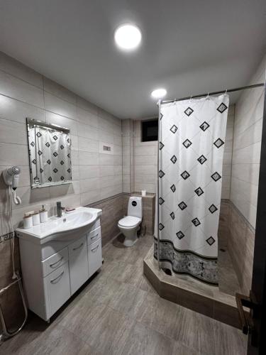 苏呼米RiverRun的浴室配有卫生间、盥洗盆和淋浴。