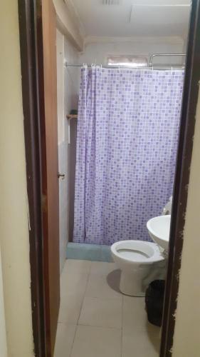 里奥加耶戈斯Departamentos La chacra的浴室配有卫生间和紫色的浴帘