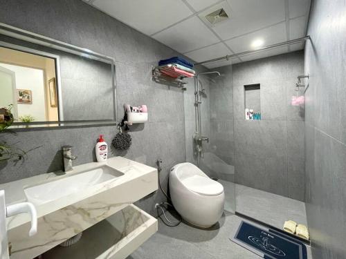 河内Peaceful house的一间带水槽、卫生间和镜子的浴室
