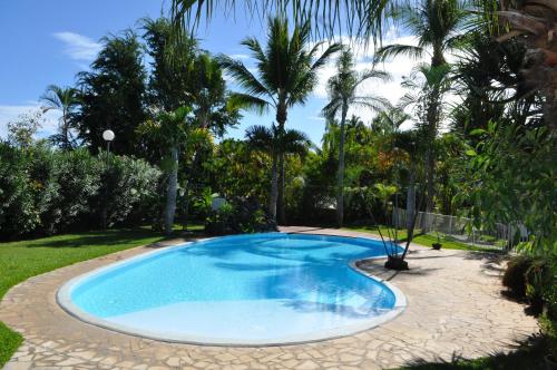 圣吉尔莱班La Perle du Sable Blanc的棕榈树庭院内的游泳池
