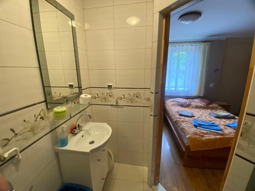 扎科帕内Wynajem Pokoi gościnnych Jaś i Małgosia的一间带水槽和床的小浴室