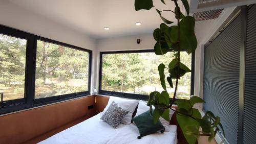 罗威Good Spot Morze的一间卧室设有窗户和一张种植了植物的床