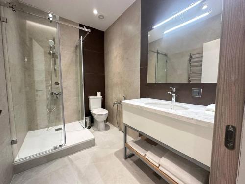 塔什干Apart Hotel Istaravshan的一间带水槽、淋浴和卫生间的浴室