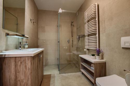 维斯瓦Willowa 21的一间带水槽、淋浴和卫生间的浴室
