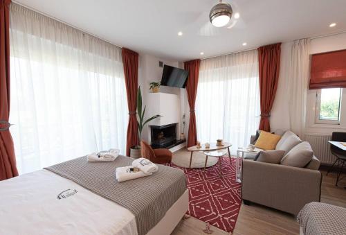 OinófitaBukovo Apartment的酒店客房设有床和客厅。