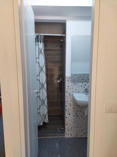 萨兰达Saranda Boutique Hostel的带淋浴和盥洗盆的浴室
