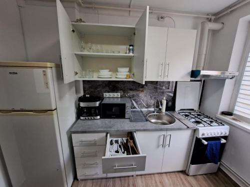 札勒乌Apartament 2 camere的小厨房配有白色橱柜和水槽