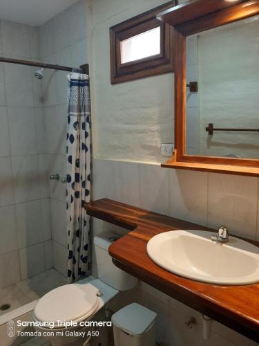 卡诺阿Hotel La Vista的一间带水槽、卫生间和镜子的浴室