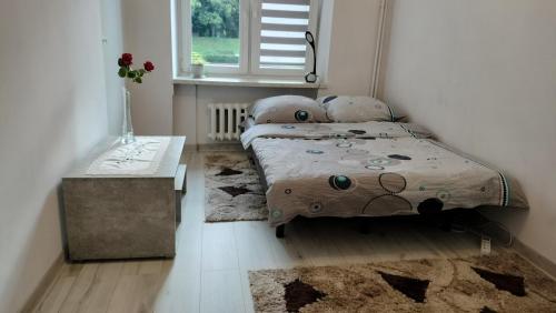 热舒夫Apartament nad fontanną的一间卧室配有一张床、一张桌子和一个窗户。