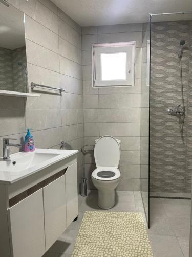 阿莫利亚尼岛Villa Alexandros的浴室配有卫生间、盥洗盆和淋浴。