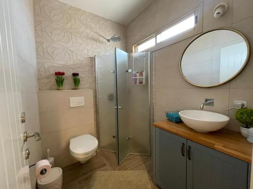 Bet Rimmonצימרימון的一间带卫生间、水槽和镜子的浴室