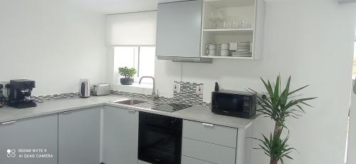 基尔肯尼Dungarvan Studio的白色的厨房配有水槽和微波炉
