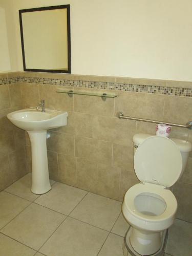 蓬塔雷纳斯Hotel La Punta的一间带卫生间和水槽的浴室