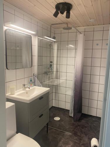 萨伦Mysig källarlägenhet i Lindvallen的一间带水槽、卫生间和镜子的浴室
