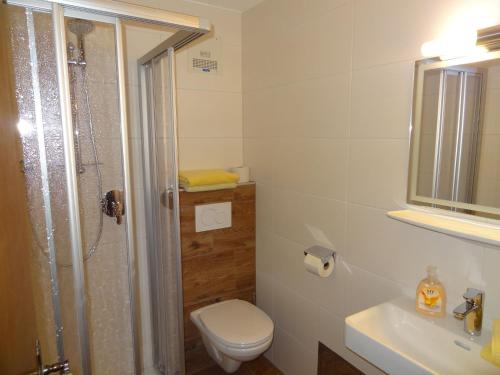 阿特尔高地区圣格奥尔根Pension Holzapfel的带淋浴、卫生间和盥洗盆的浴室