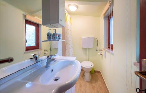 瓦图拉2 Bedroom Gorgeous Home In Valtura的一间带水槽和卫生间的浴室