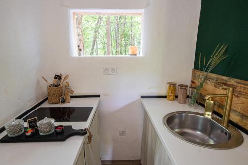 摩拉瓦托普利采Living Forest Resort的一个带水槽和水槽的小厨房