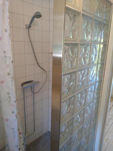 SöråkerLodge åstön的浴室设有玻璃墙淋浴