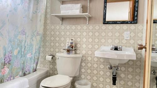 SurreyRachel's Motel and Cottages的一间带卫生间、水槽和镜子的浴室