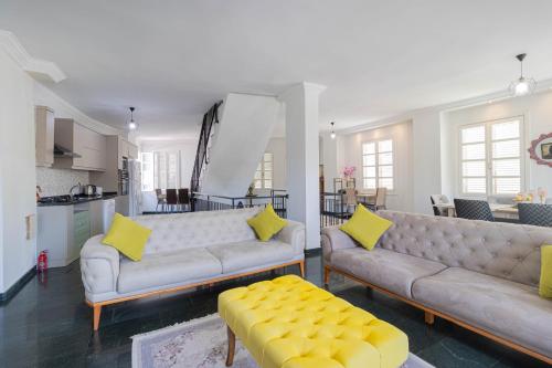 安塔利亚Villa ANATOLIAN的一间带两张沙发的客厅和一间厨房
