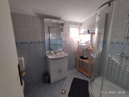 斯桑Apartment Zelena oaza Sisan 75 m2 - 2 bedrooms的一间带水槽和淋浴的小浴室
