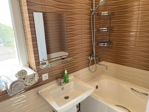 杜尚别Large modern apartment mix style的浴室配有盥洗盆和浴缸。