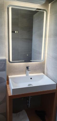 克拉尼斯卡戈拉Apartments and Rooms Milena的浴室设有白色水槽和镜子