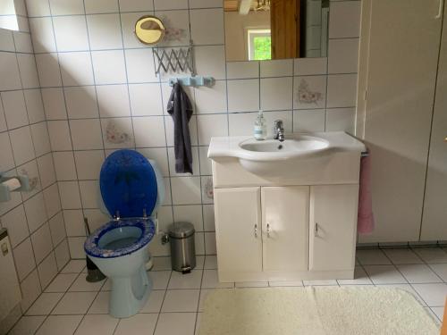 IdestrupRomantic Luxus Glamping 3的浴室设有蓝色的卫生间和水槽。