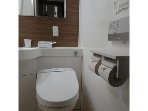 东京Ochanomizu Inn - Vacation STAY 90241v的浴室配有白色卫生间和盥洗盆。