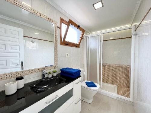 圣巴托洛梅Xookoob Tropical Retreat的一间带水槽、卫生间和淋浴的浴室