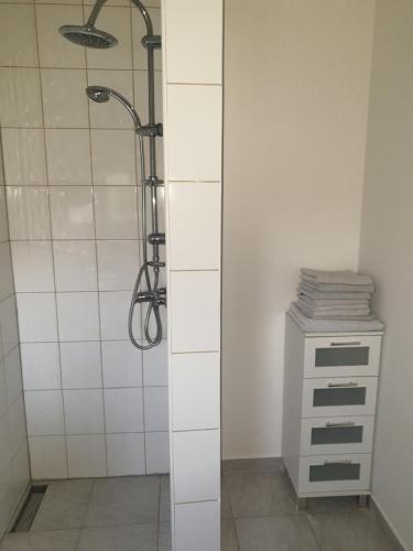鲁多尔施塔特Ferienwohnung PETER的带淋浴的浴室和白色瓷砖墙
