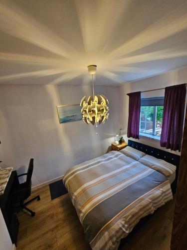 都柏林Private room in Dublin的一间卧室配有一张大床和一个吊灯。