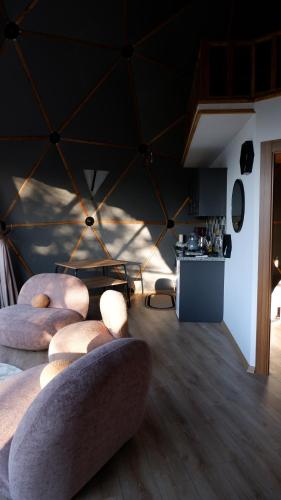 贾马里海姆森Bogina Dome & Suite - Çamlıhemşin的一间客厅,客厅内配有四张沙发