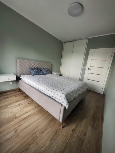 比得哥什Apartament w Parku nad Kanałem的一间卧室配有一张床,铺有木地板