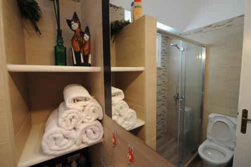 纳克索乔拉My Home in Naxos的一间带毛巾、淋浴和卫生间的浴室