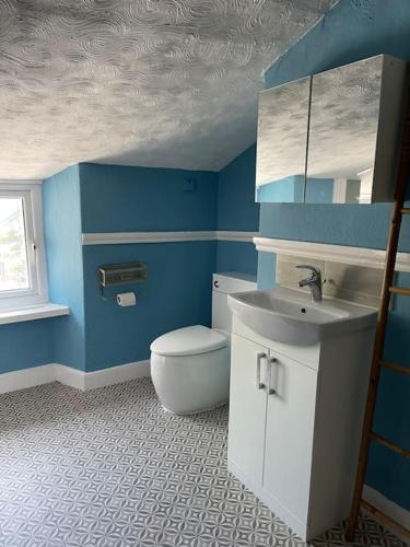 克里克豪厄尔Cosy 2 bed flat in Crickhowell的蓝色的浴室设有卫生间和水槽