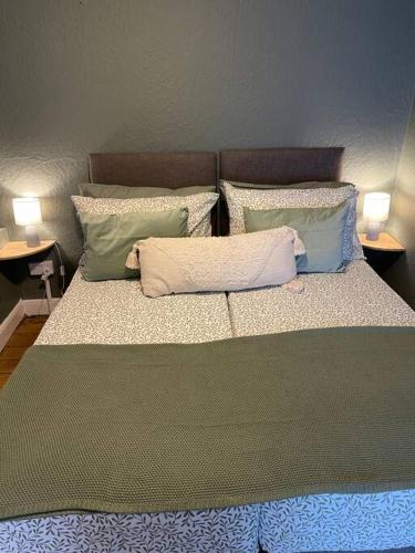 克里克豪厄尔Cosy 2 bed flat in Crickhowell的一张带四个枕头的床和两盏灯