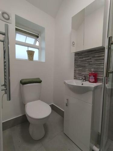 恩菲尔德Charming Studio Flat with Parking的白色的浴室设有卫生间和水槽。