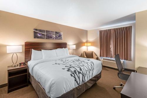 丹佛Sleep Inn & Suites Denver International Airport的酒店客房设有一张大床和一张书桌。