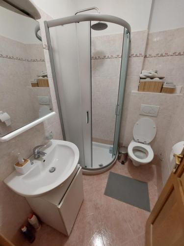 波雷奇Casa Vežnaveri的带淋浴、卫生间和盥洗盆的浴室
