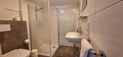 施马伦贝格Landhaus Gnacke的浴室配有卫生间、盥洗盆和淋浴。