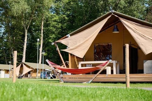 OpglabbeekGlamping Belgisch Limburg的帐篷前的几张吊床