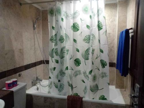 塞米亚克Kun's Stay Private Apartments的浴室设有淋浴帘和叶片。
