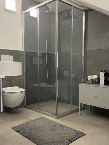 莫利纳迪莱德罗Casa Giulia - Slow Mountain的带淋浴、卫生间和盥洗盆的浴室