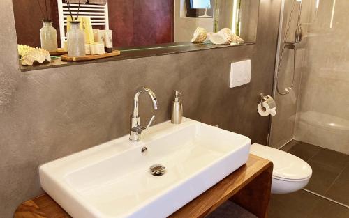 特劳恩施泰因TS公寓的浴室配有白色水槽和卫生间。