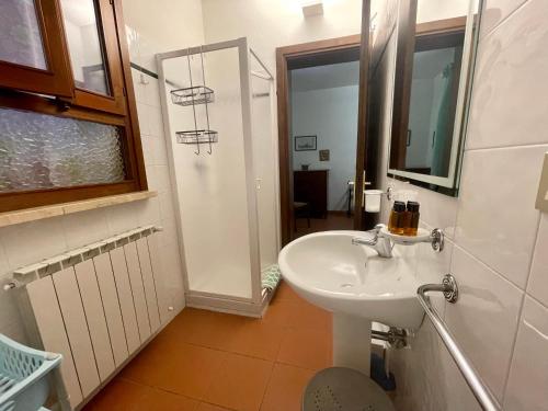 奥贝里塞PODERE OSLAVIA AZ.AGR.BIO GIANNINI的白色的浴室设有水槽和淋浴。