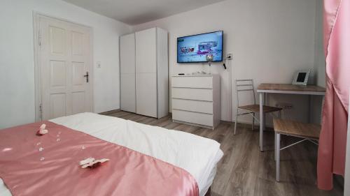 巴拉通雷勒纳普斯甲公寓的一间卧室配有一张床、一张书桌和一台电视。