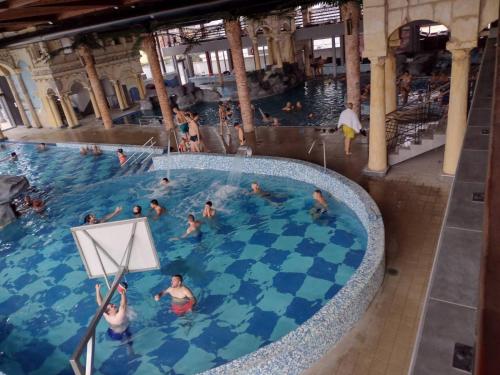 弗尔尼亚奇卡矿泉镇Malgo的一群人在游泳池游泳