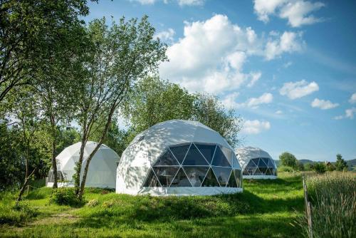 ManiowyBiała Czapla Glamping z balią nad jeziorem czorsztyńskim的草木林地的三个圆顶